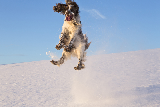 Fun in the snow!