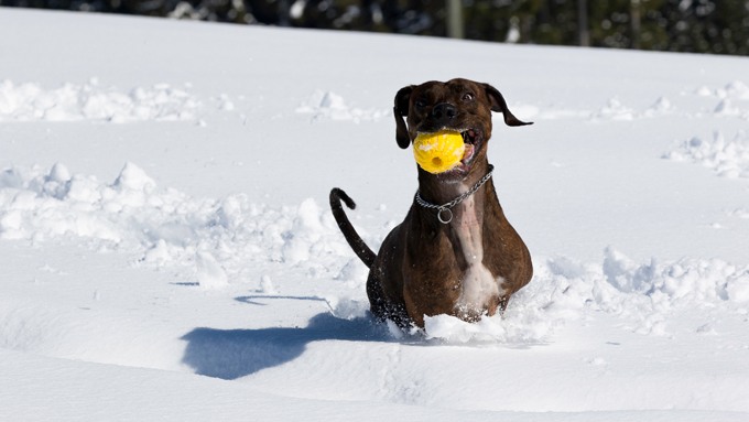 Fun in the snow!