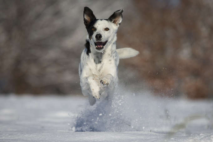 Fun in the snow!