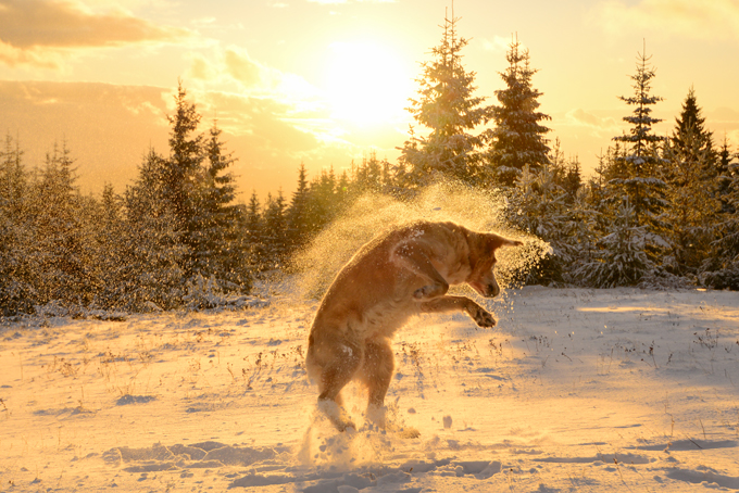 Fun in the snow!