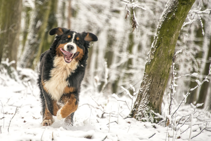 Fun in the snow!