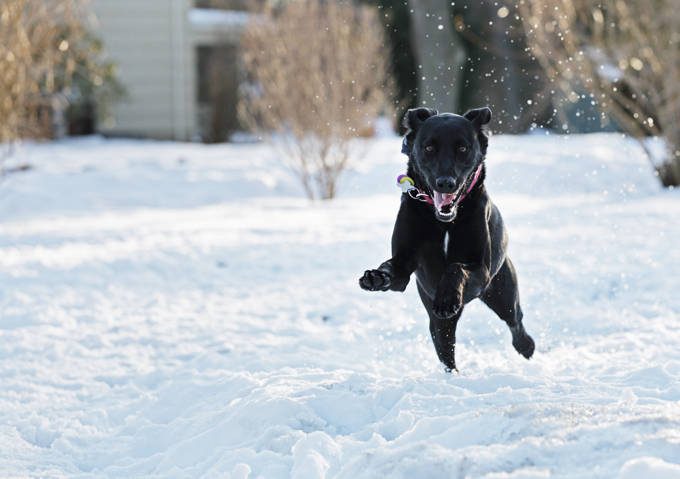 Fun in the snow!