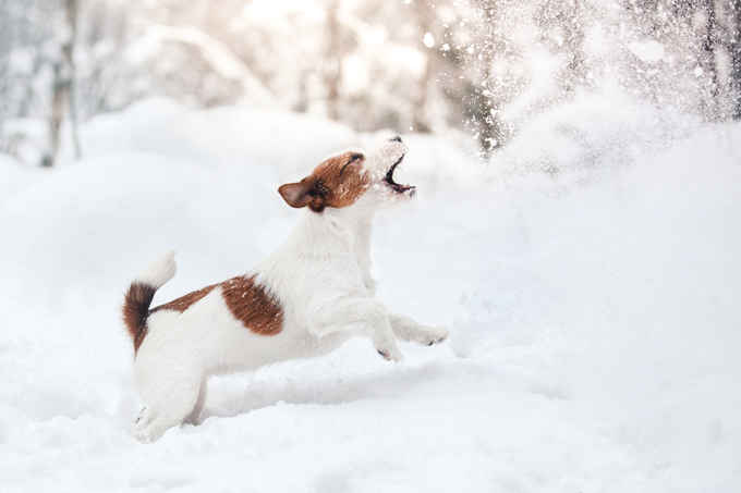 Fun in the snow!