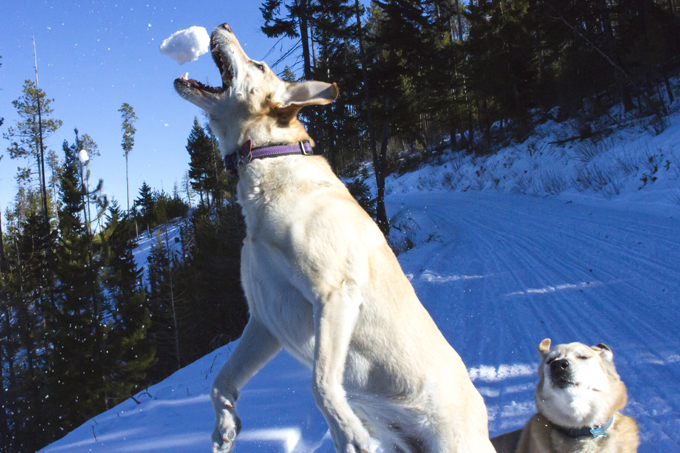 Fun in the snow!