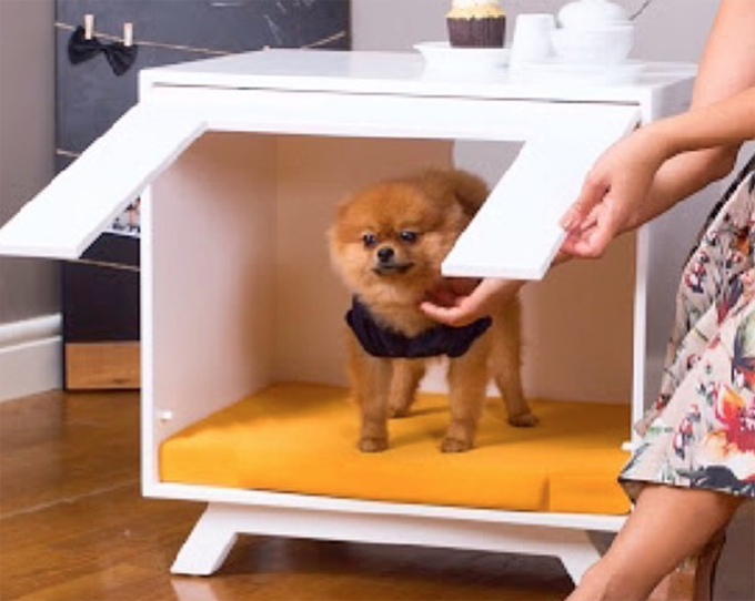 Most Amazing Dog Houses