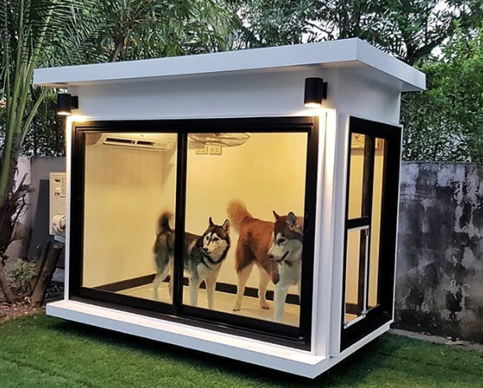 Most Amazing Dog Houses