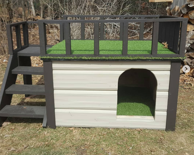 Most Amazing Dog Houses