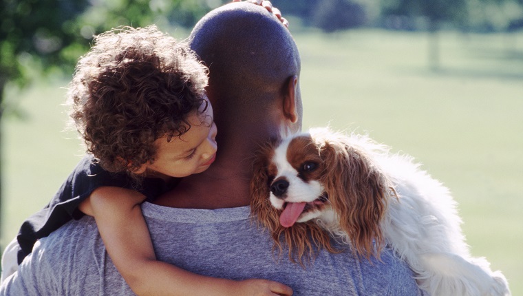 Cavalier King Charles Spaniels