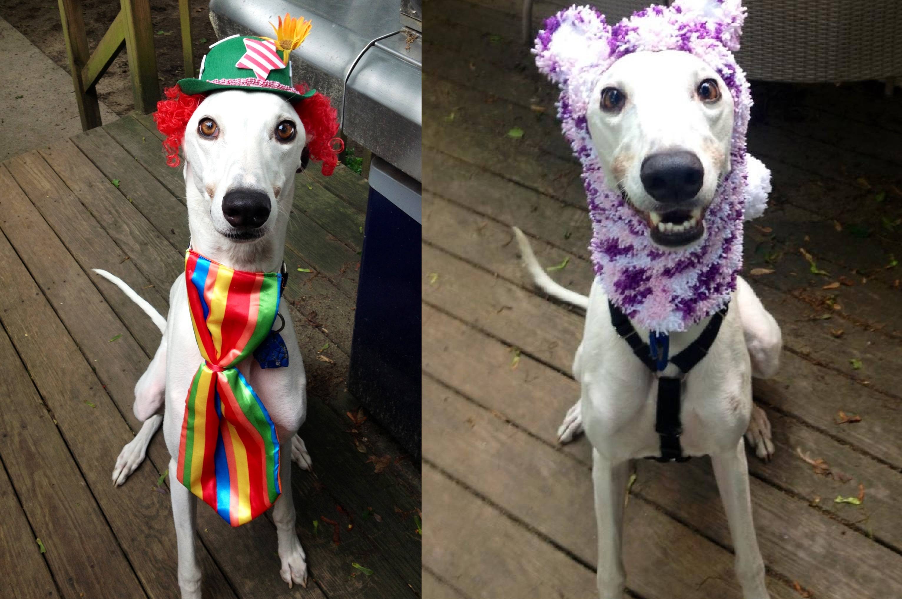 Happy hats!