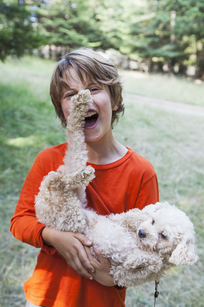 20 Pictures Of Puppies Playing