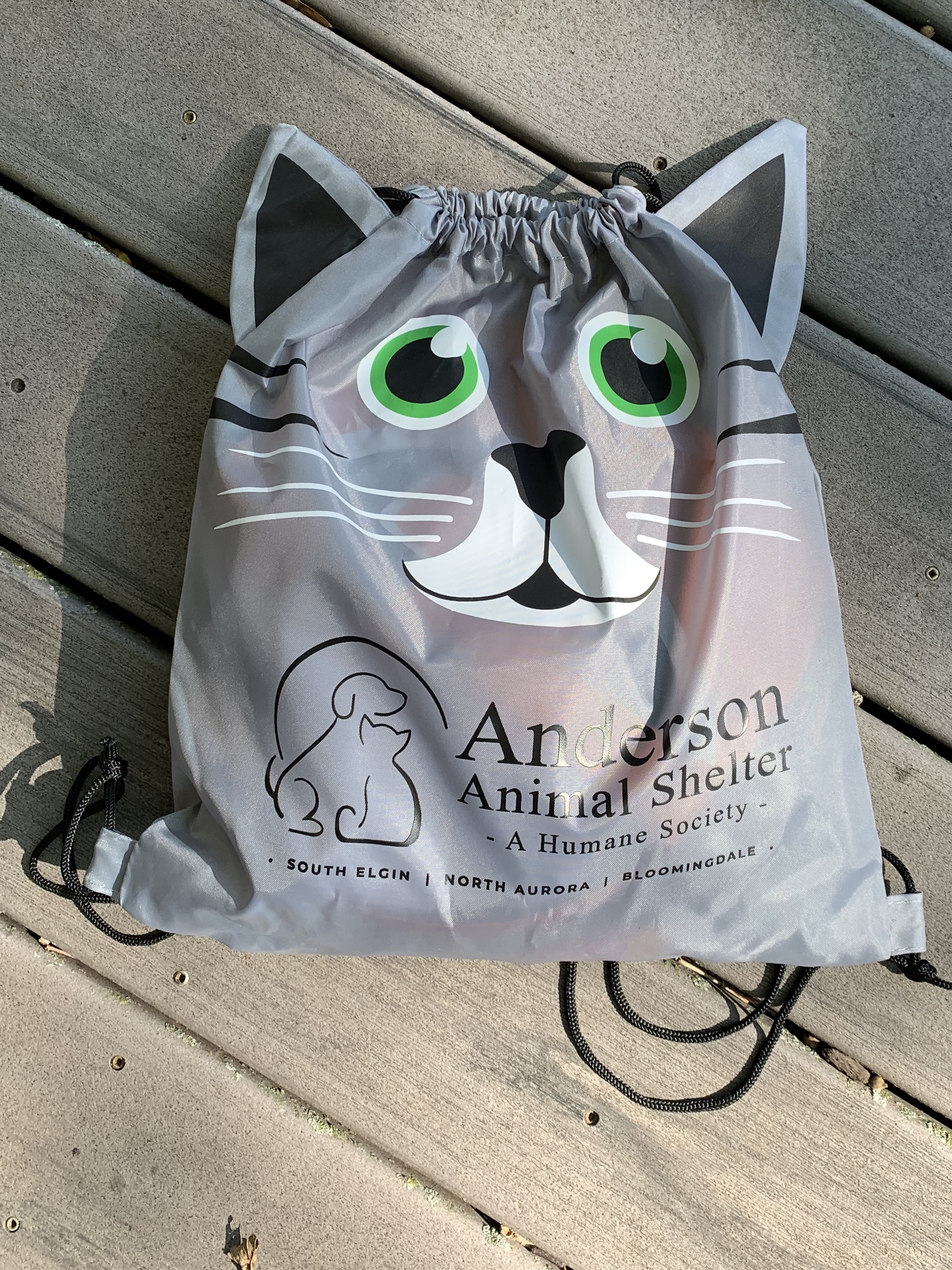 I had no idea we would get goodie bags. Wow! These were bursting full of neat treats, toys, and other swag from donors. I've never seen such a cute bag -- check out the ears! I'm not sure if Leia or I were more excited.