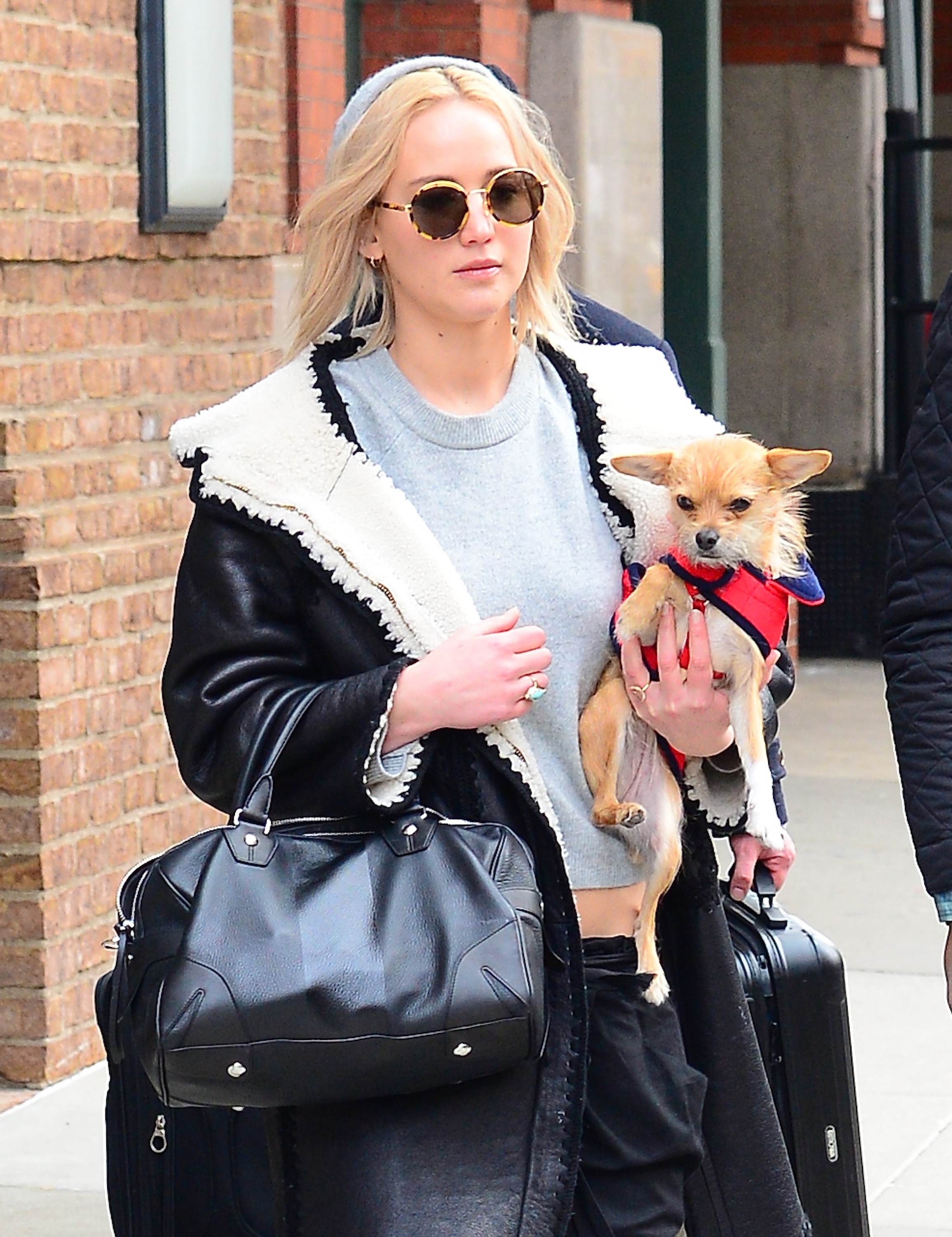 Jennifer Lawrence And Her Pooch, Pippi