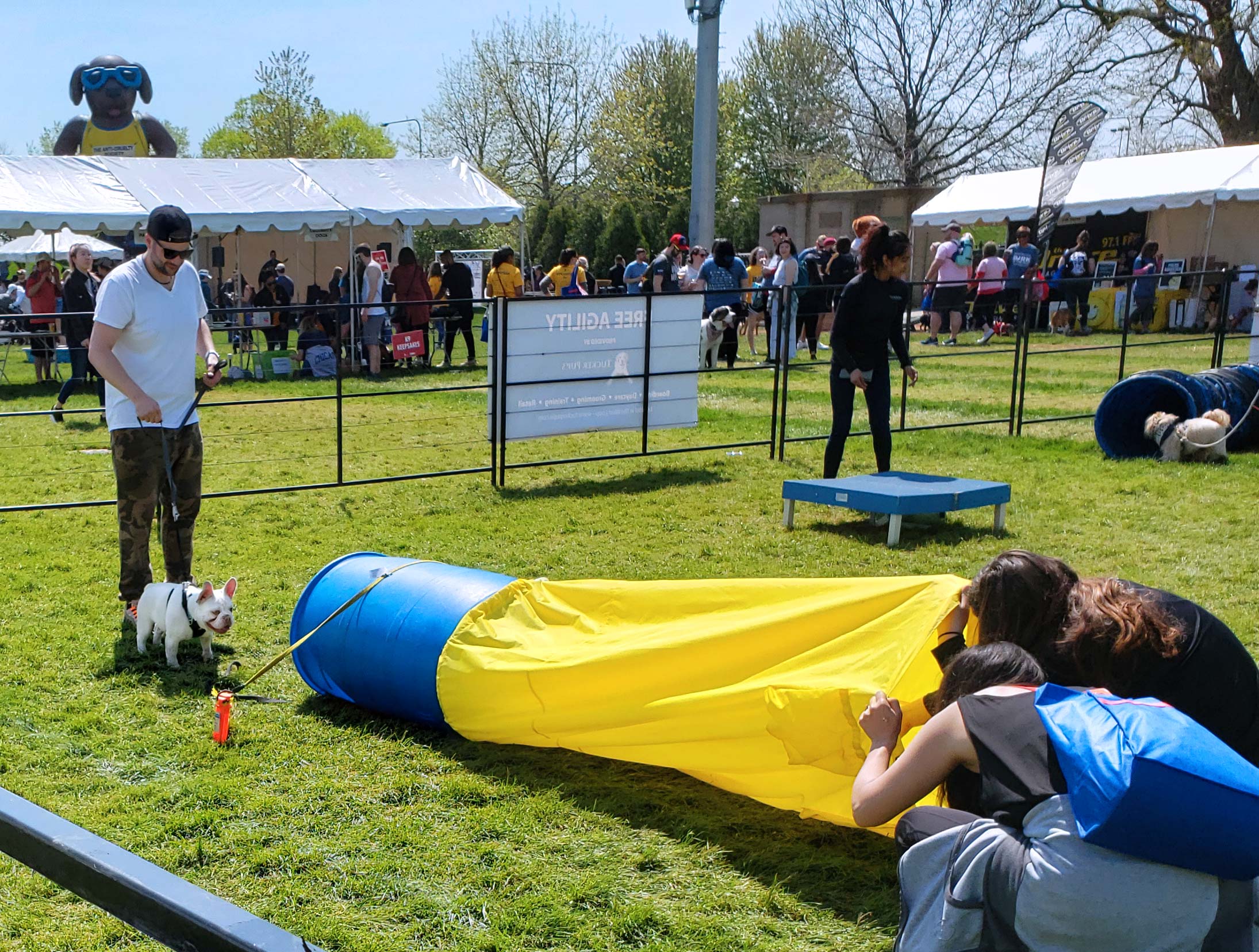 Chicago's Bark In The Park 2019