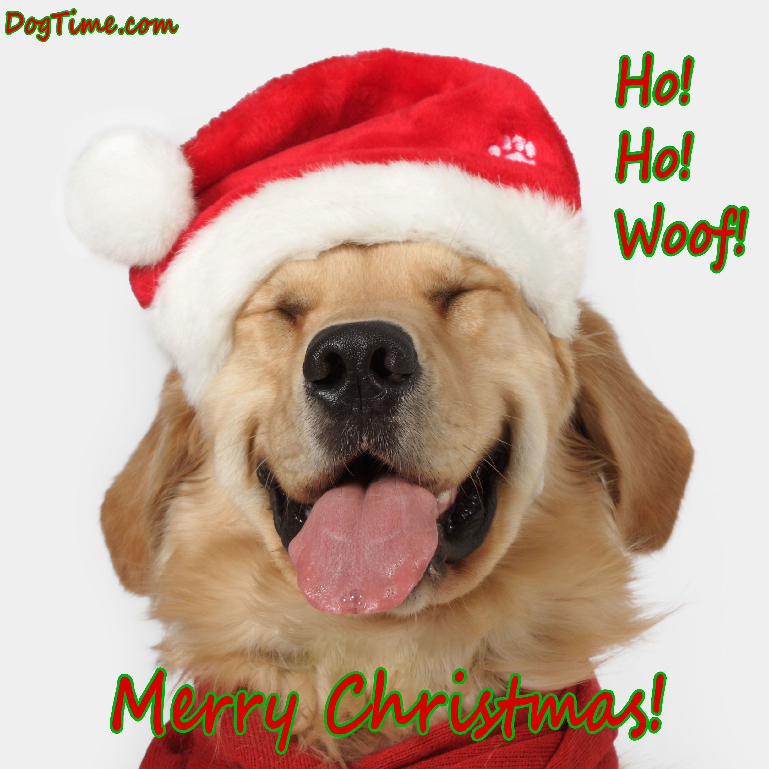 Ho! Ho! Woof!