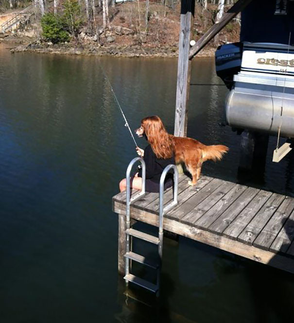 What kind of shampoo does this dog use?