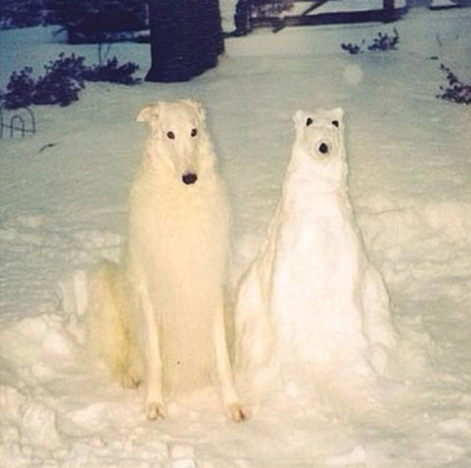 Snow Doppleganger