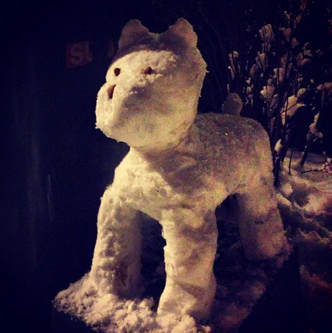 Snowdog on guard!