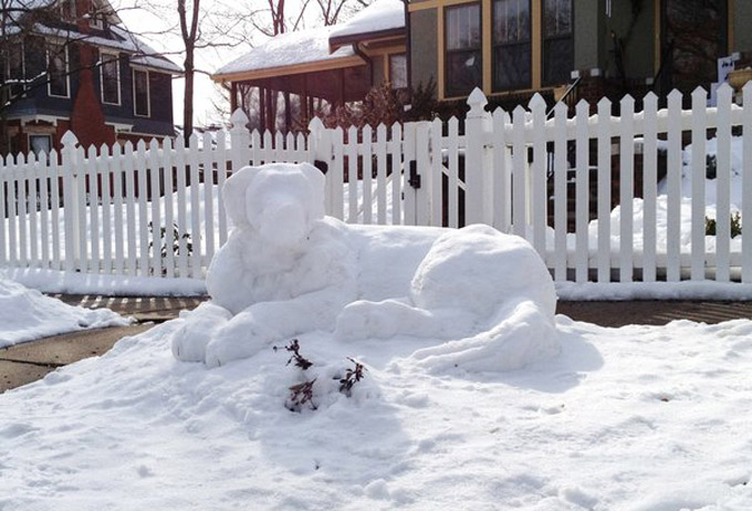 Snow Lab On Duty!