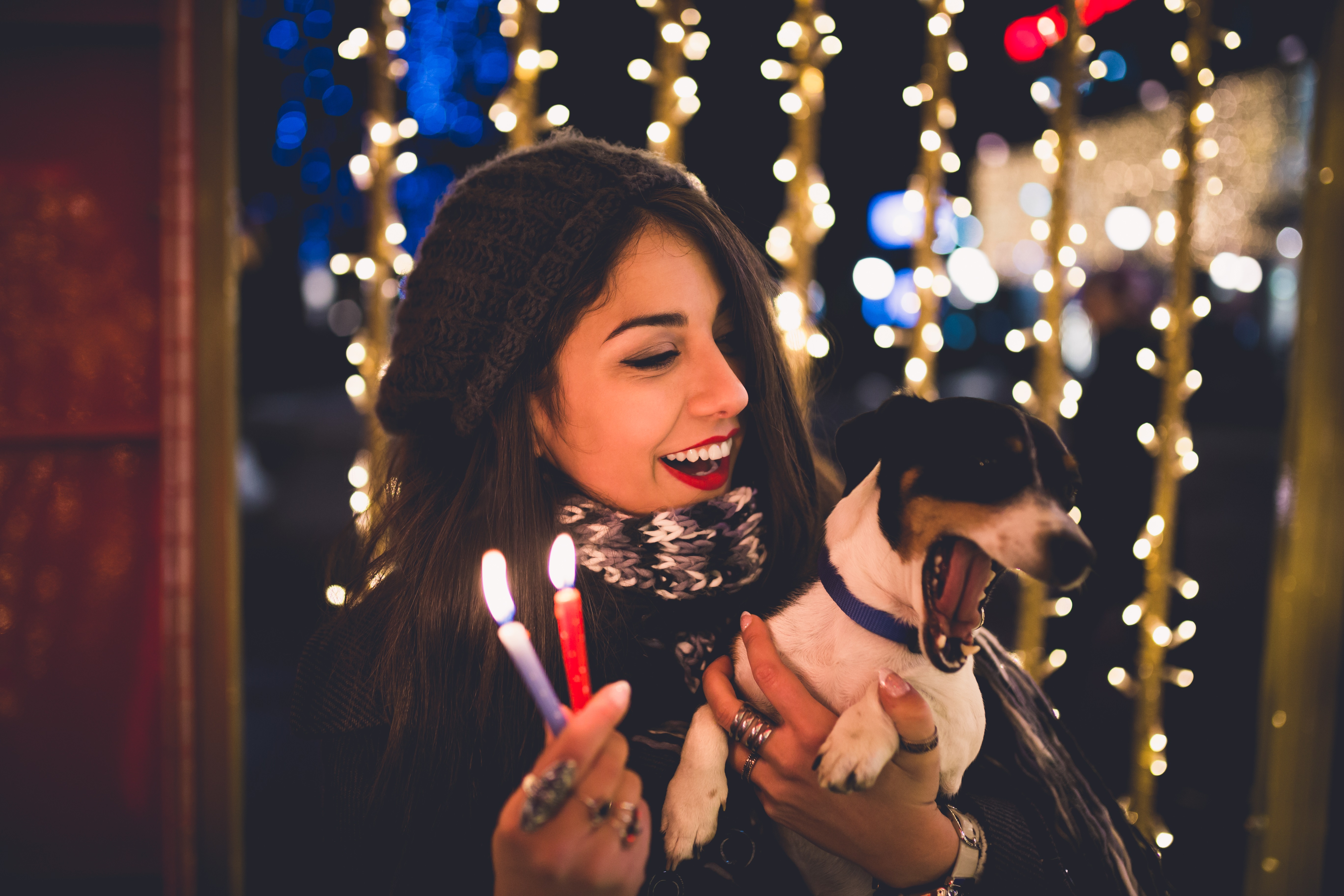 Dogs Celebrating New Year's Eve