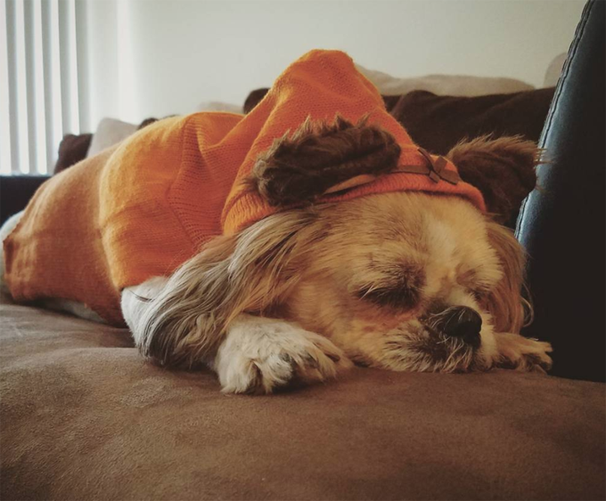 Ewoks need naps too! 