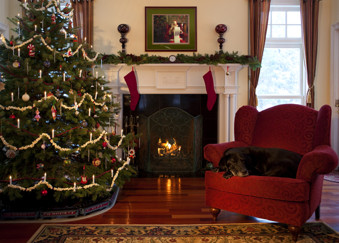 Dogs Staying Warm By The Fireplace