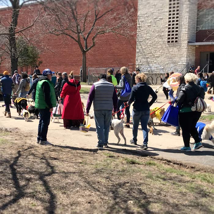 Horner Park Easter Dog Parade Pictures