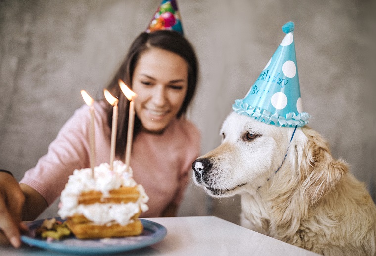 Bones at the ready! It’s time to treat your four-legged friend! Send me pictures of the day, and I cannot wait to join for walks soon!