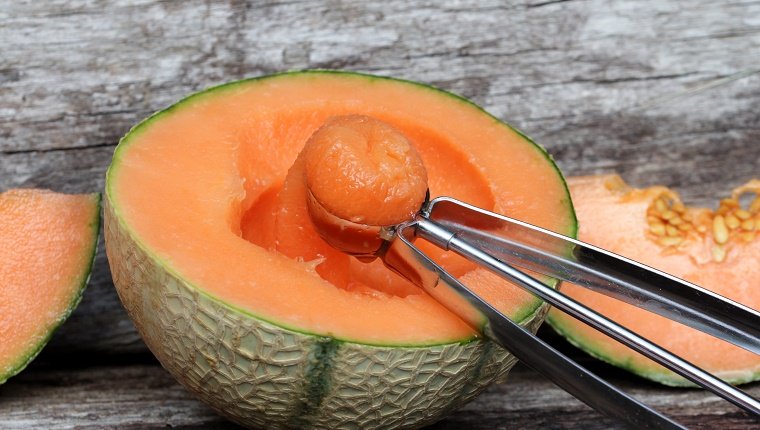 Cantaloupe