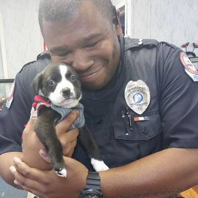 Police Officer Responds To Call At Animal Shelter And Leaves With A New Puppy