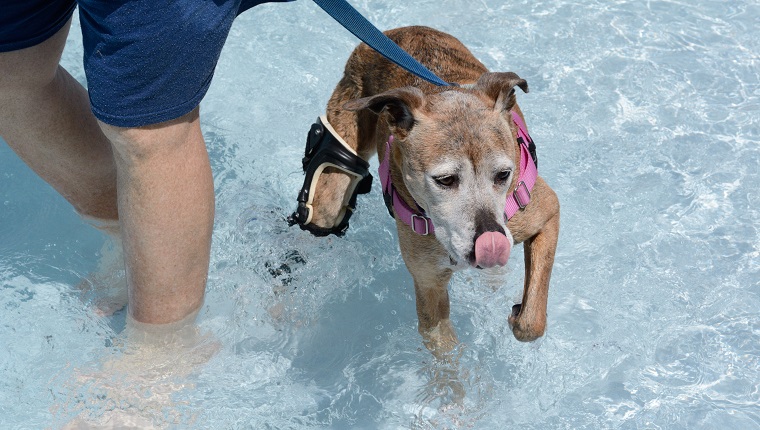 Swimming