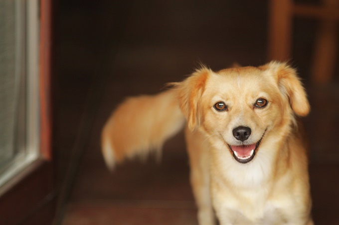 Handsome smile!