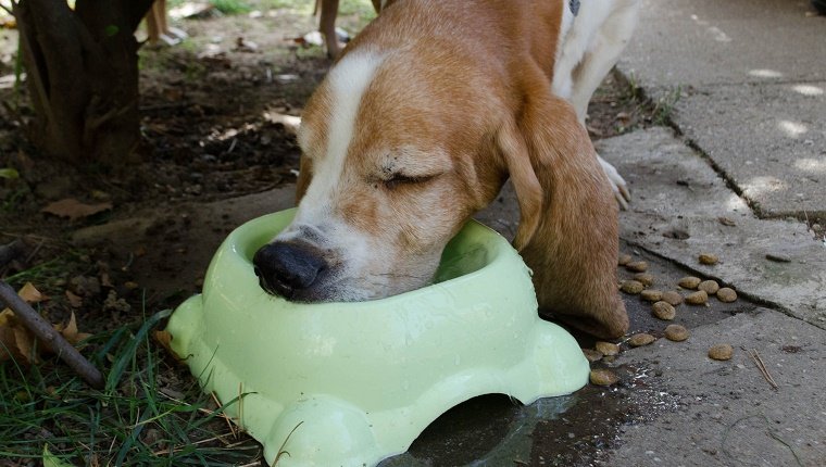 Plastic Bowls