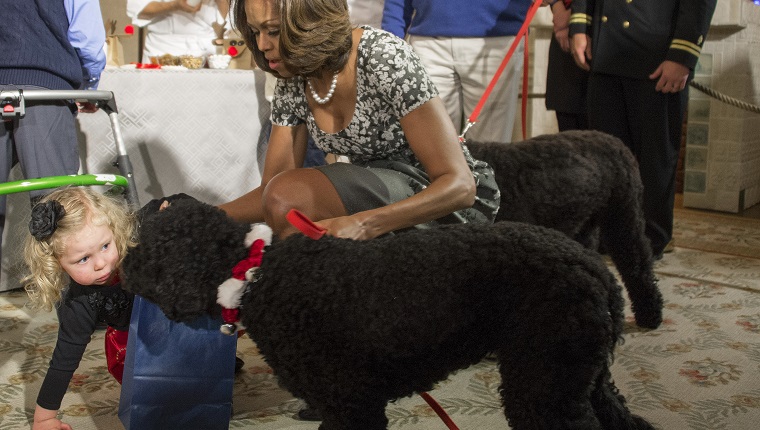 Barack Obama's Sunny Knocks Down A Little Girl