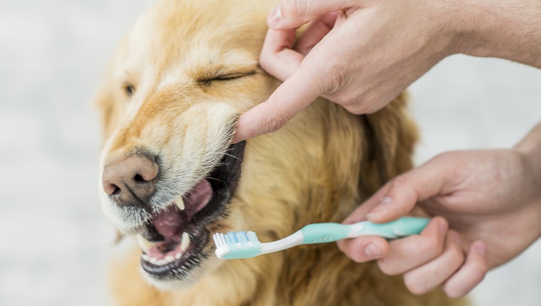 Brush Your Senior's Teeth At Home