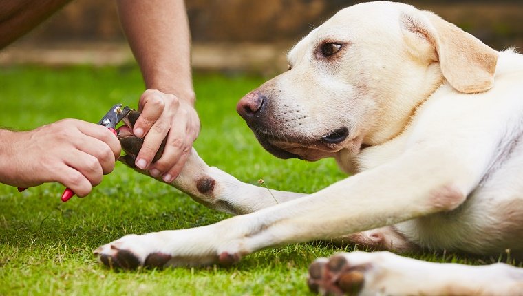 Trim Those Nails