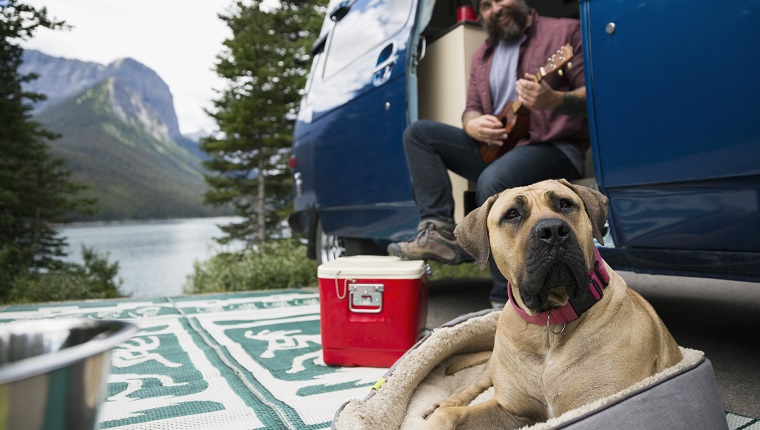 Secure Food & Drinks That Are For Humans Only